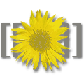 Wiki.png